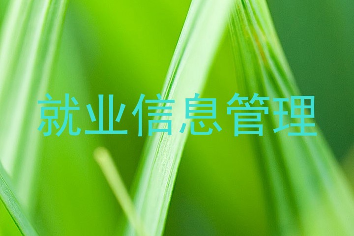 就业信息管理