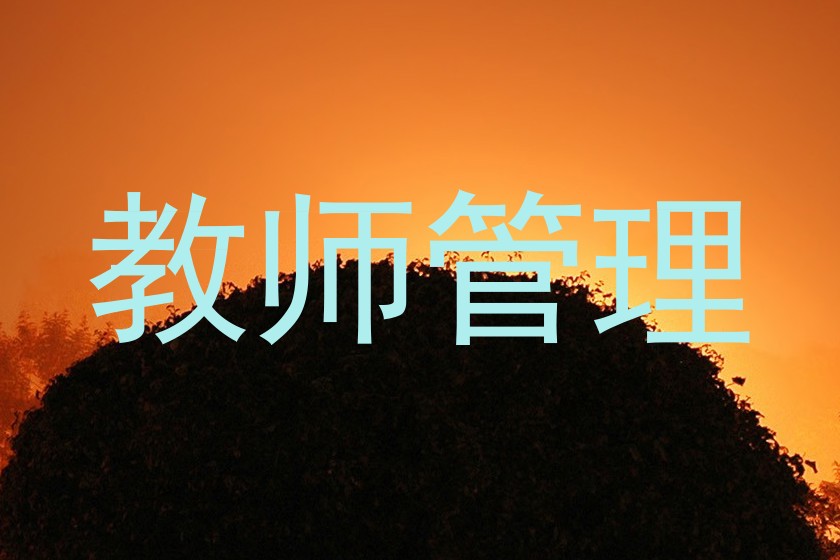 教师管理