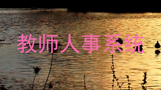 教师人事系统