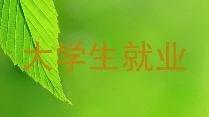 大学生就业