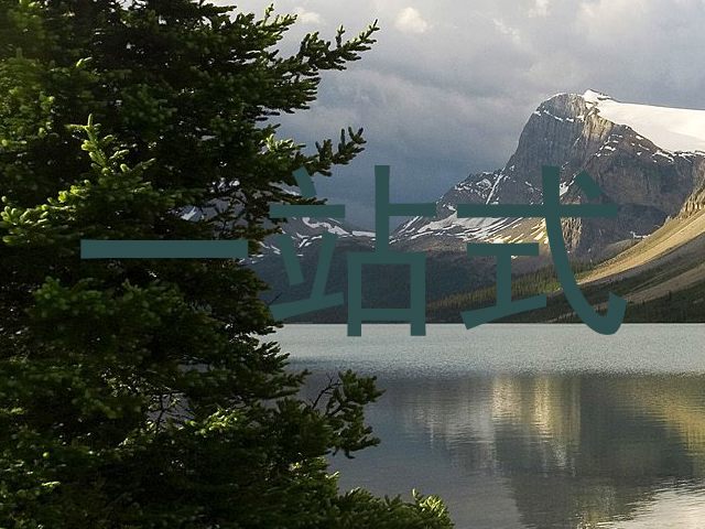 一站式