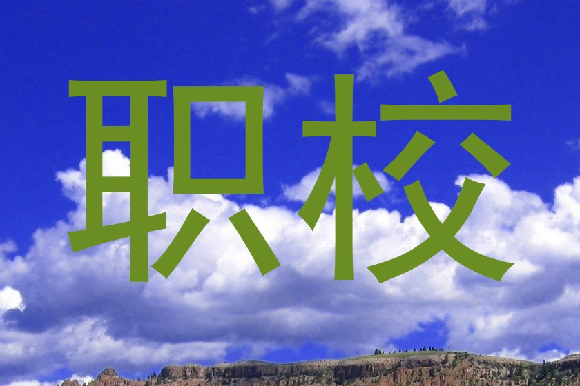 职校
