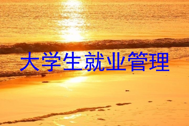 大学生就业管理