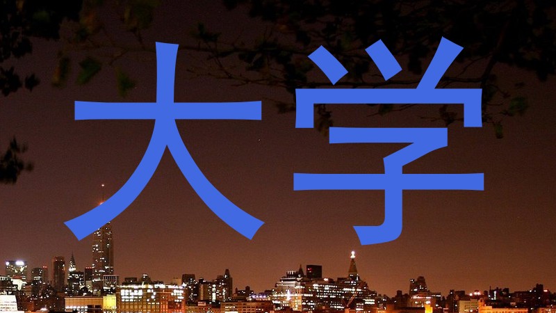 大学