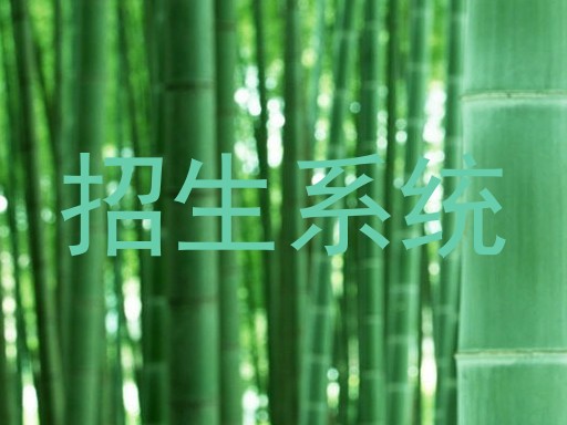 招生系统
