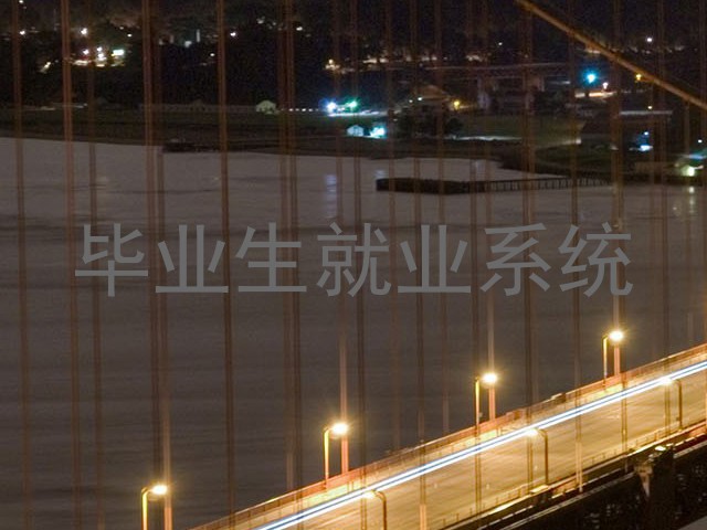 毕业生就业系统