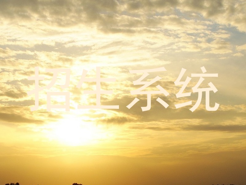 招生系统