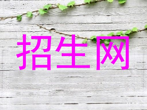 招生网