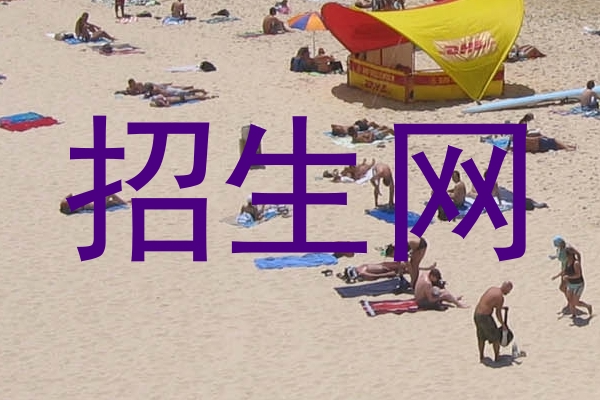 招生网