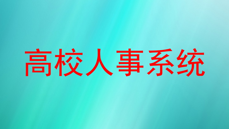 高校人事系统