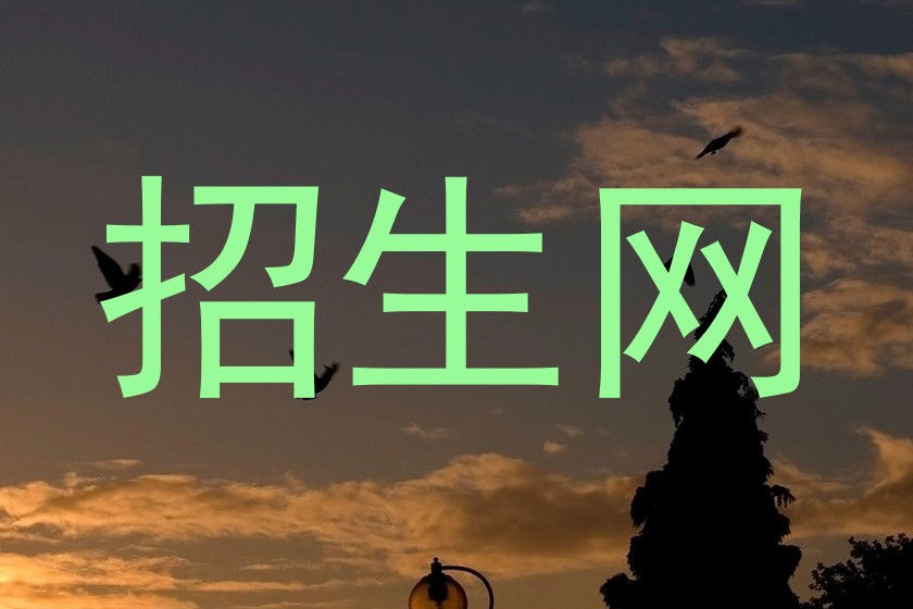 招生网