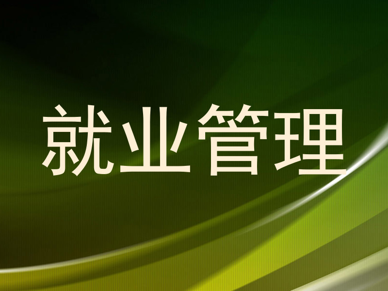 就业管理