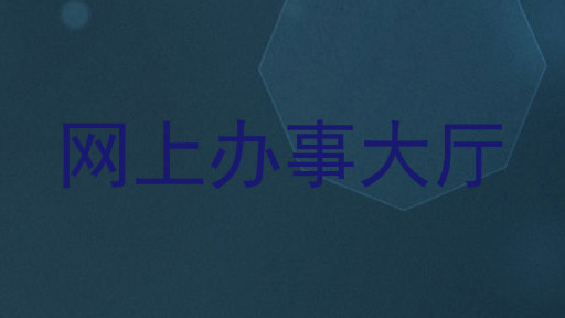 网上办事大厅