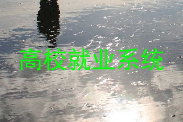高校就业系统