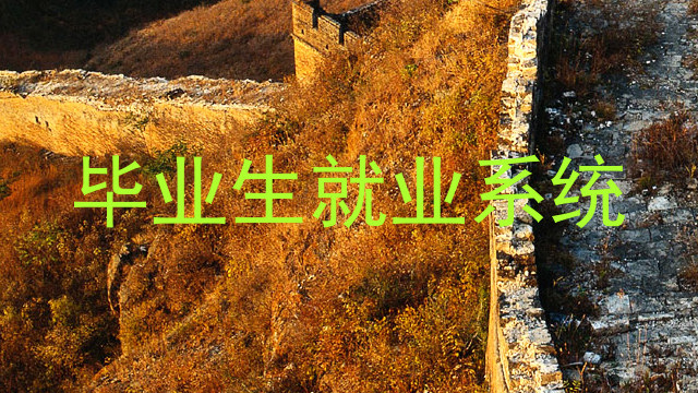 毕业生就业系统