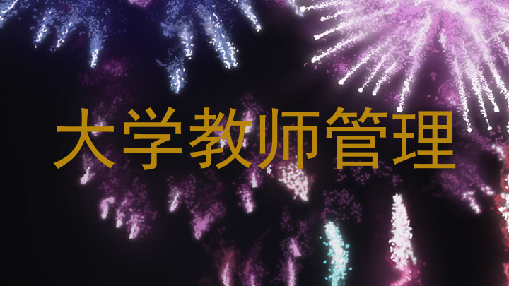 大学教师管理