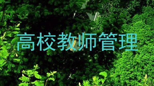 高校教师管理