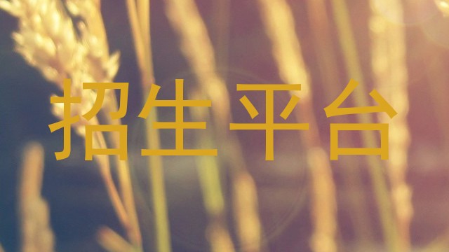 招生平台
