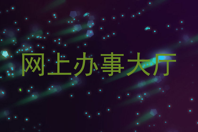 网上办事大厅