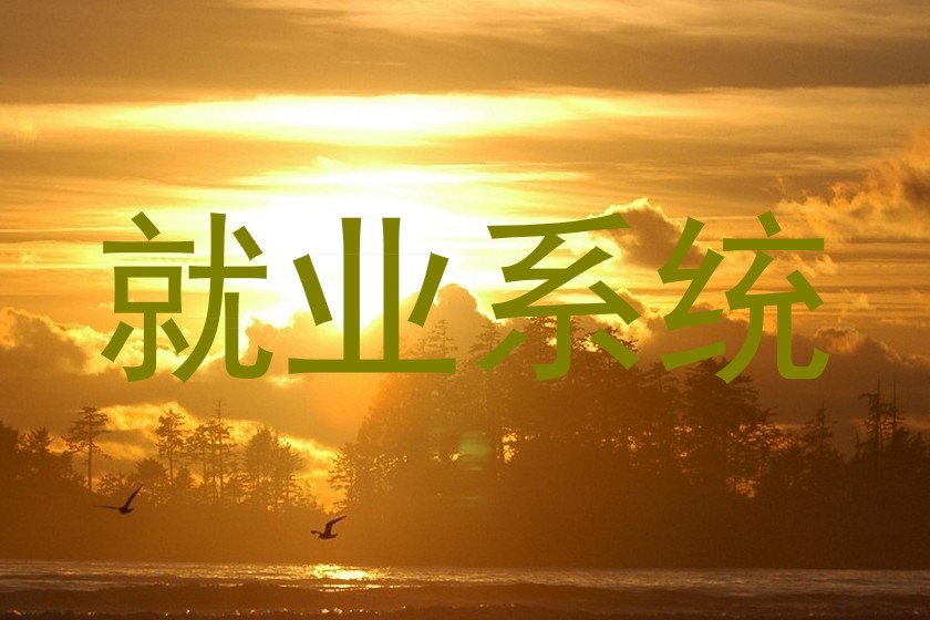 就业系统