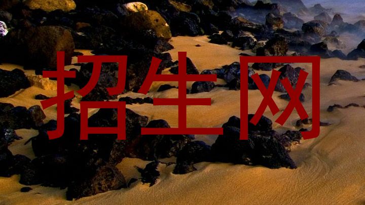 招生网