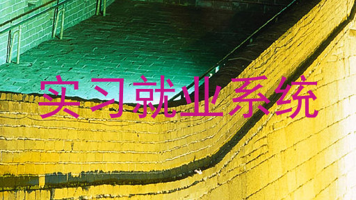 实习就业系统