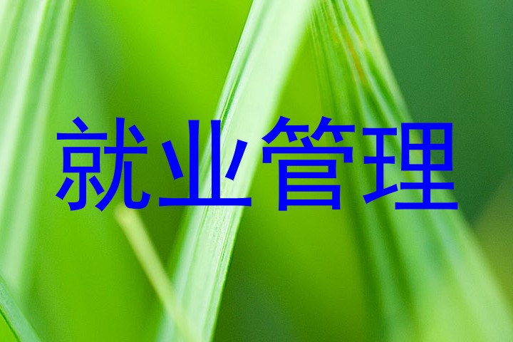 就业管理
