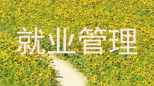 就业管理