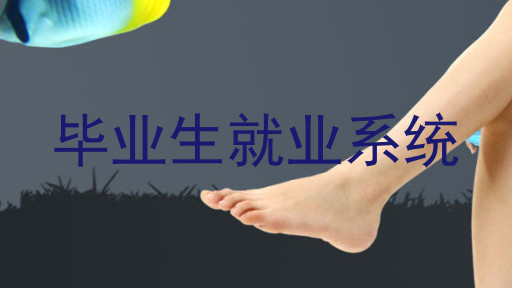 毕业生就业系统