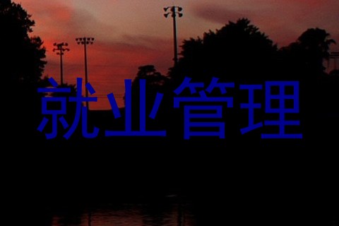 就业管理