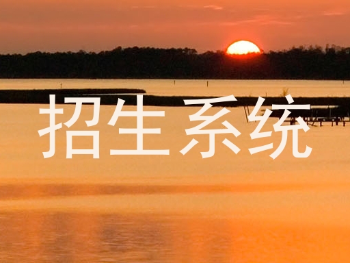 招生系统
