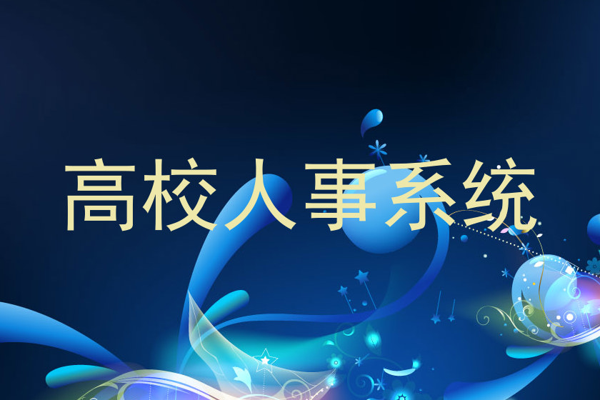 高校人事系统