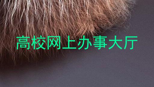 高校网上办事大厅
