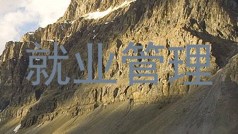 就业管理
