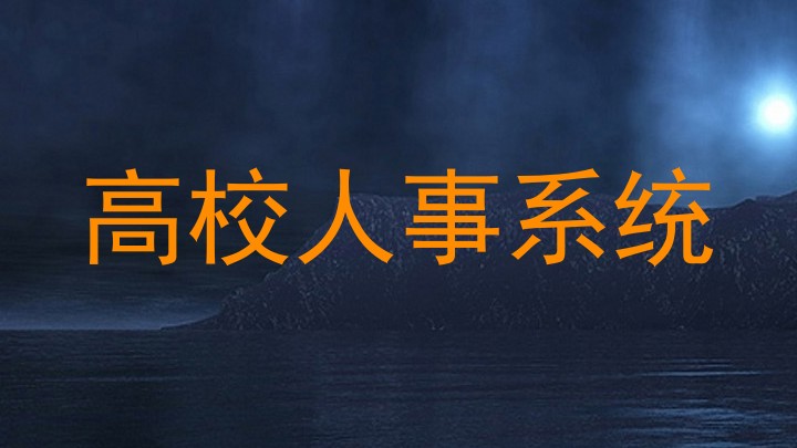 高校人事系统