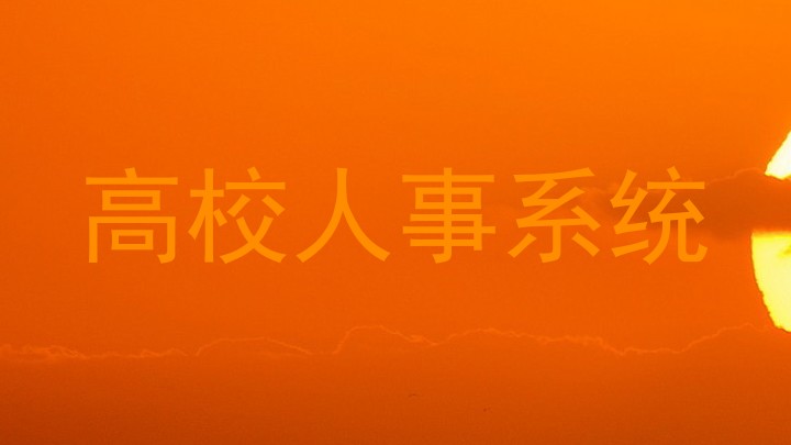 高校人事系统