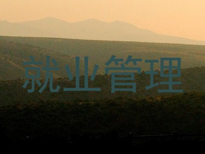 就业管理