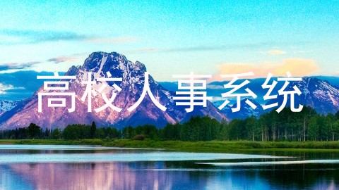 高校人事系统