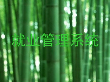 就业管理系统