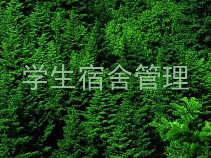 学生宿舍管理