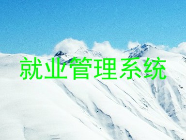 就业管理系统