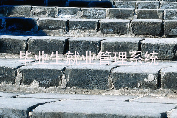 毕业生就业管理系统
