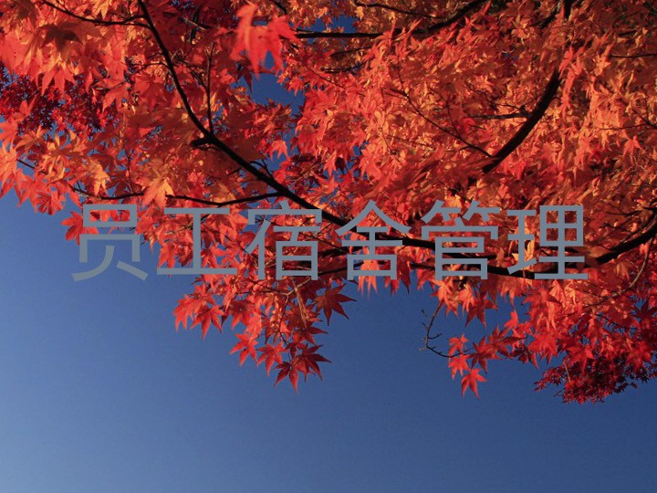 员工宿舍管理
