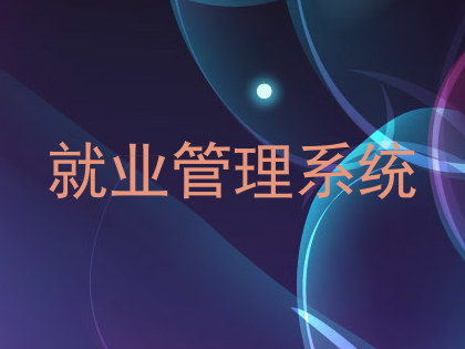 就业管理系统