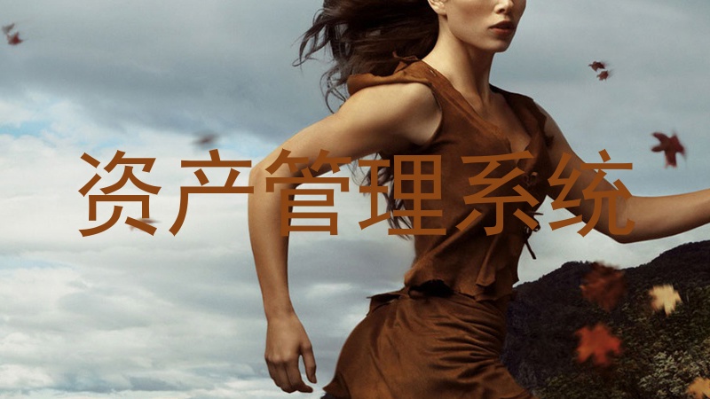 资产管理系统