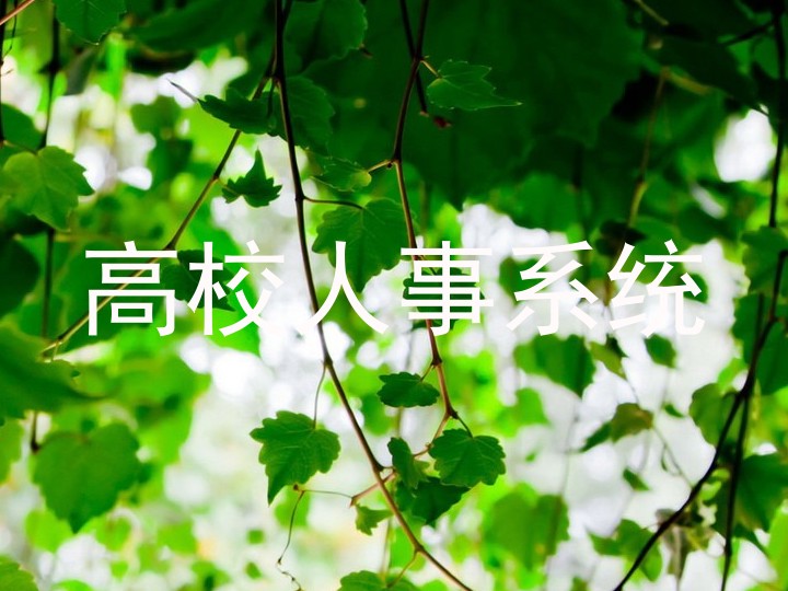 高校人事系统