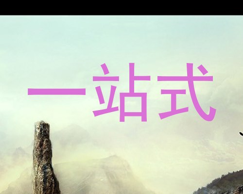 一站式