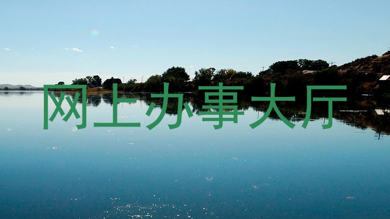网上办事大厅
