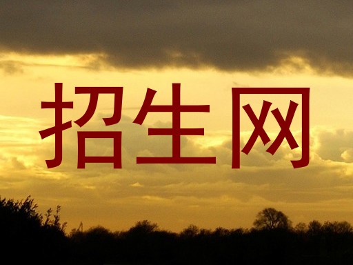 招生网