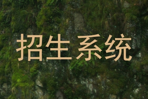 招生系统
